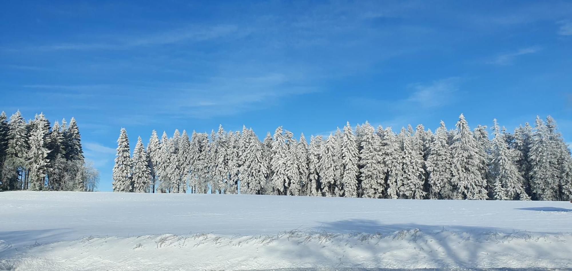 Haus Schneider Apartman Winterberg Kültér fotó