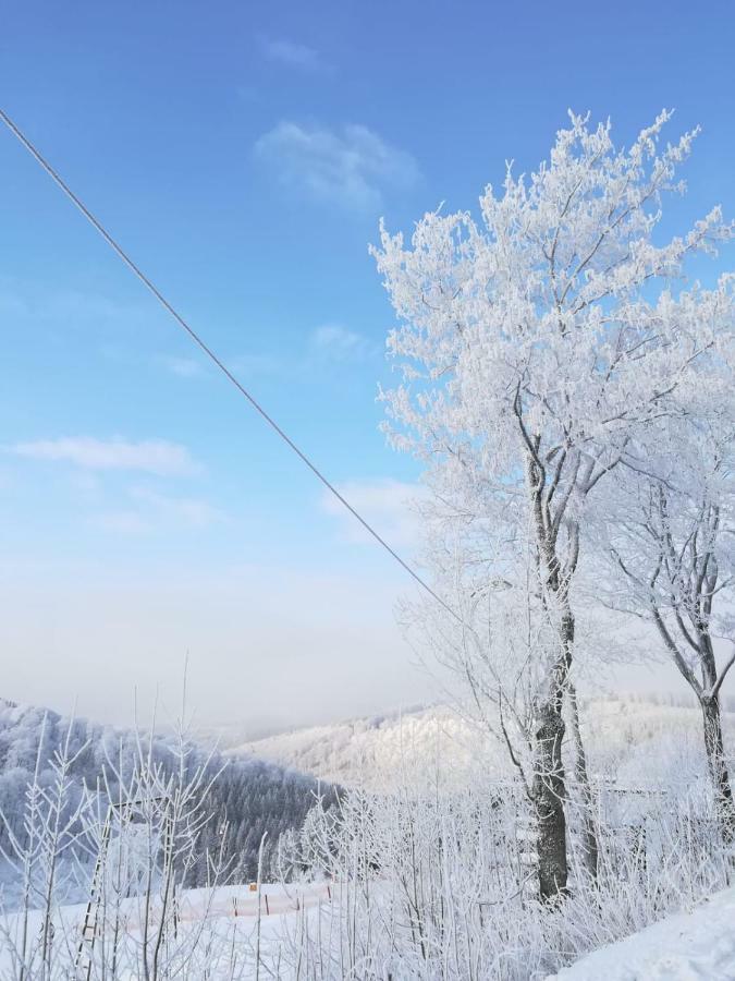 Haus Schneider Apartman Winterberg Kültér fotó